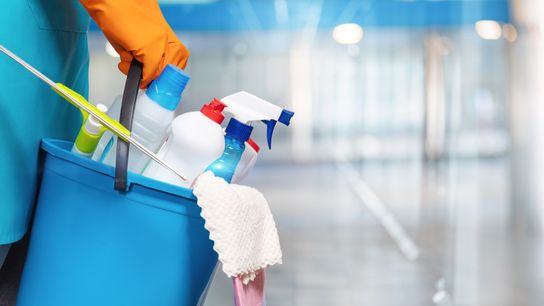 Tampa Bay Cleaning Services (tampa-bay-area)